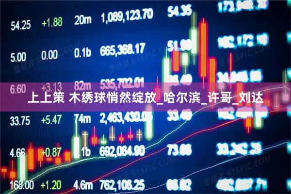 上上策 木绣球悄然绽放_哈尔滨_许哥_刘达