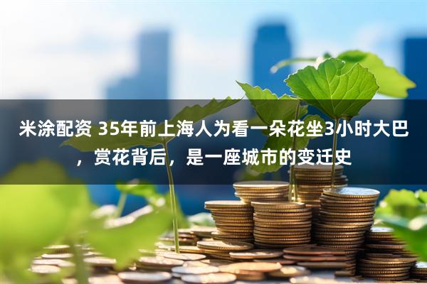 米涂配资 35年前上海人为看一朵花坐3小时大巴，赏花背后，是一座城市的变迁史