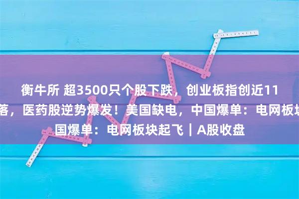 衡牛所 超3500只个股下跌，创业板指创近11年新高后显著回落，医药股逆势爆发！美国缺电，中国爆单：电网板块起飞｜A股收盘